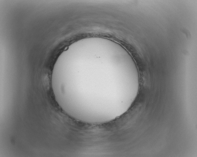 X0000115601493200911241543