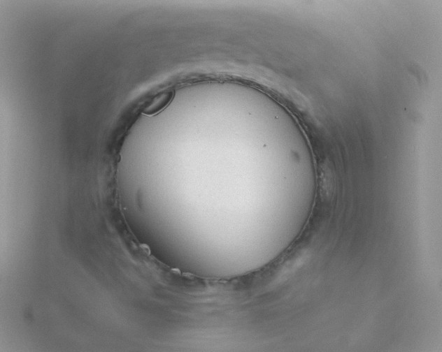 X0000115601494200911241543