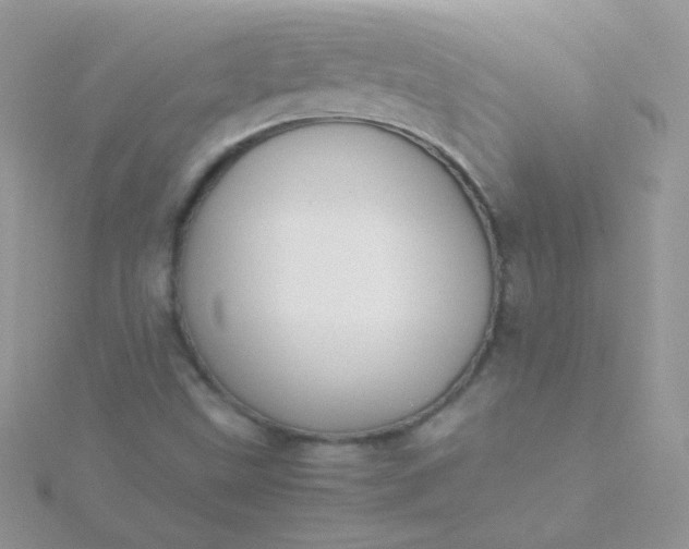 X0000115601499200911241544