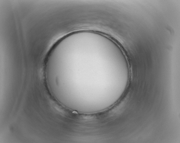 X0000115601501200911241544