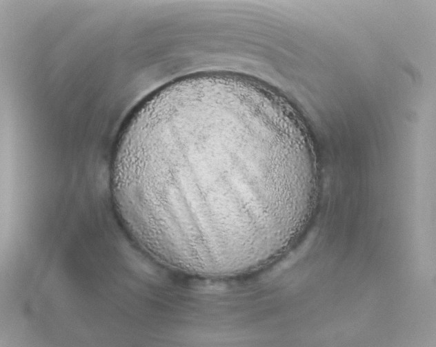 X0000115601505200911241544