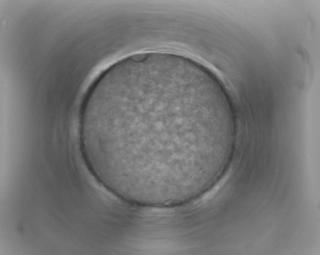 X0000115601506200911241544