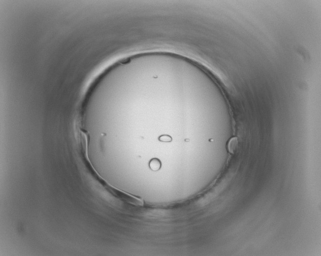 X0000115601510200911241544