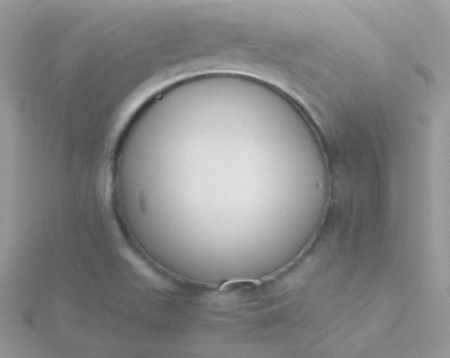 X0000115601511200911241544