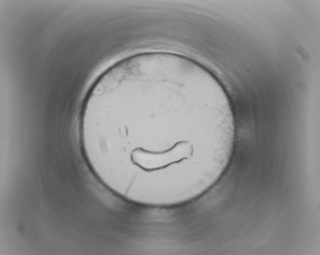 X0000115601514200911241544