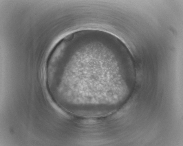 X0000115601515200911241544