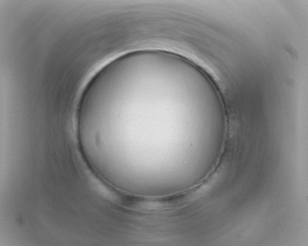 X0000115601517200911241544