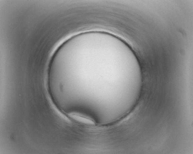 X0000115601518200911241544