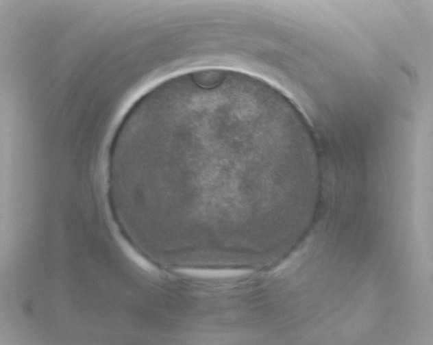 X0000115601519200911241544