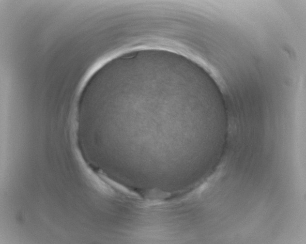 X0000115601522200911241544