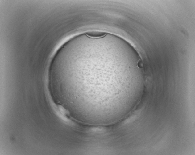 X0000115601523200911241544