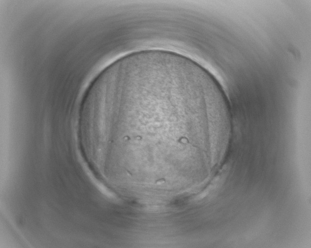 X0000115601525200911241544