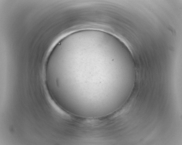 X0000115601531200911241544