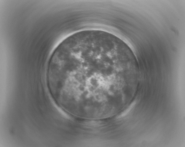 X0000115601533200911241544