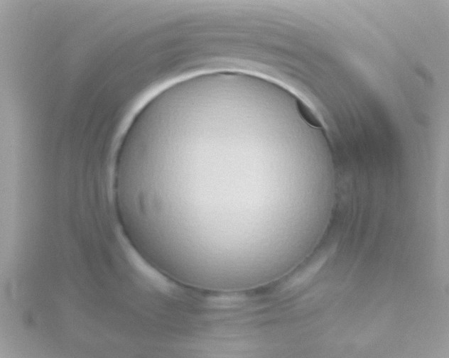 X0000115601535200911241544