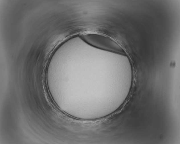 X0000115600001200912011537