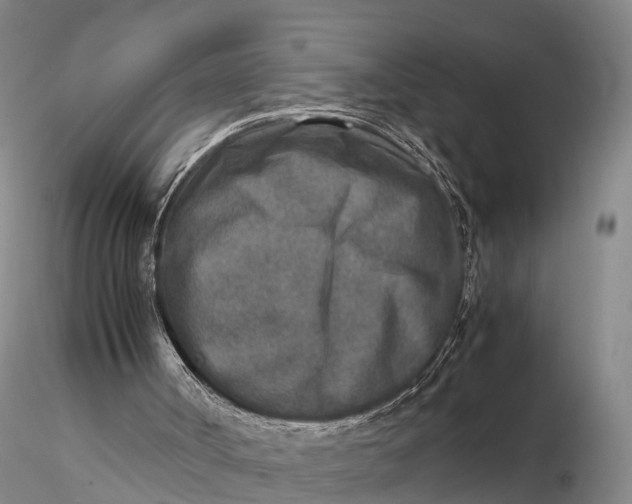 X0000115600002200912011537