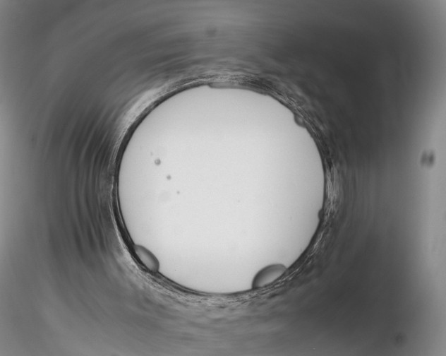 X0000115600003200912011537