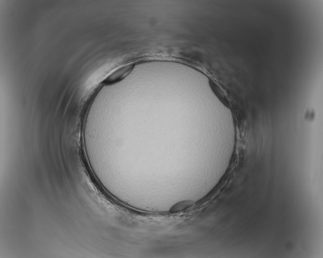 X0000115600005200912011537