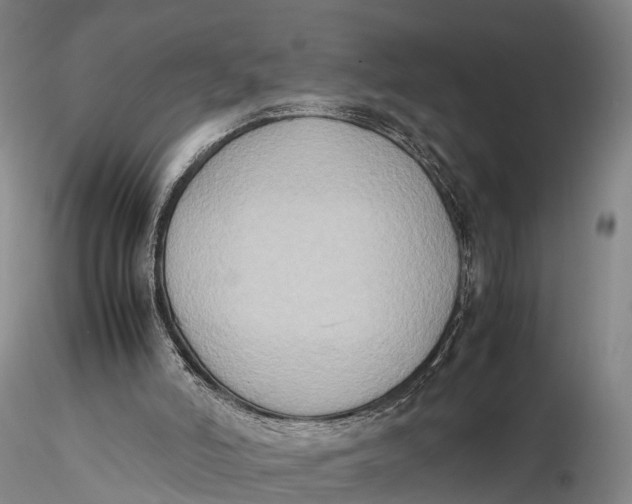 X0000115600006200912011537