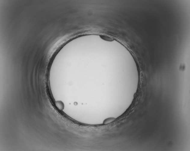 X0000115600007200912011537