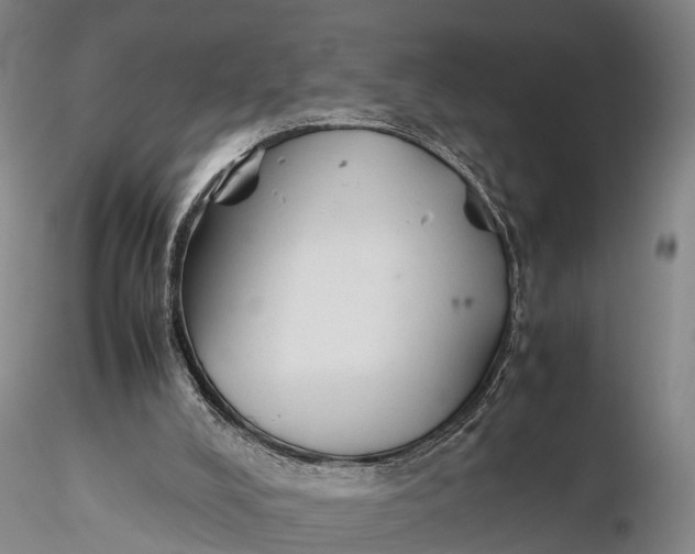 X0000115600008200912011537