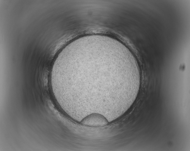 X0000115600010200912011537