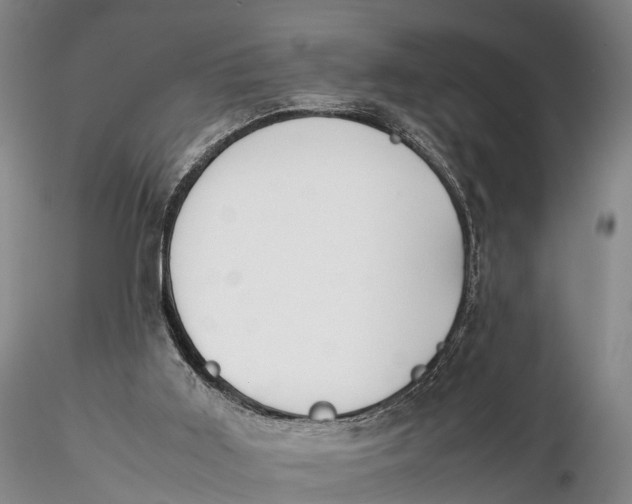 X0000115600011200912011537