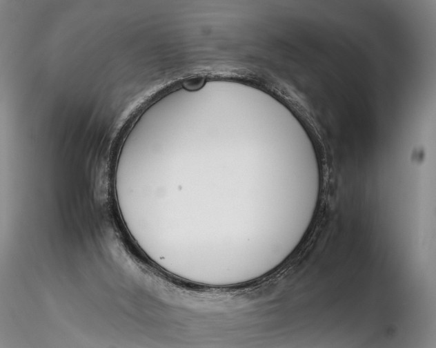 X0000115600012200912011537