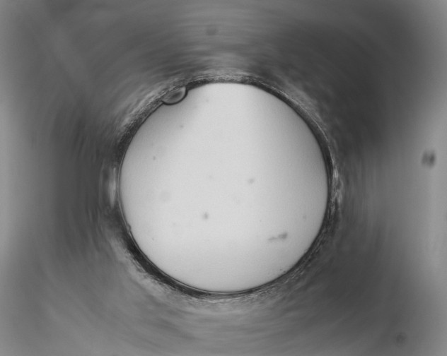 X0000115600013200912011537