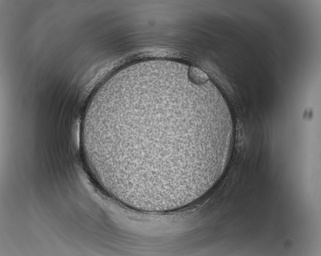 X0000115600014200912011537