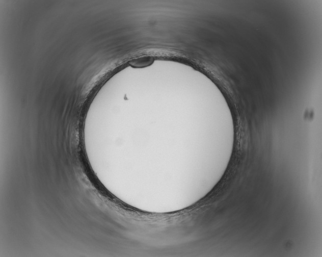 X0000115600015200912011537