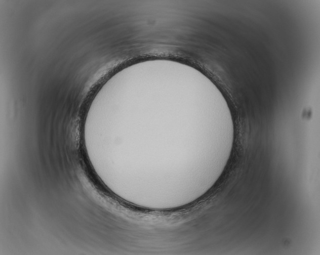 X0000115600016200912011537