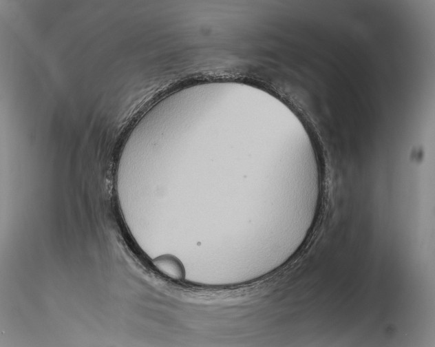 X0000115600017200912011537