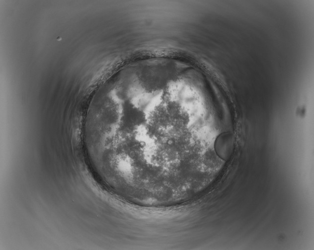 X0000115600018200912011537