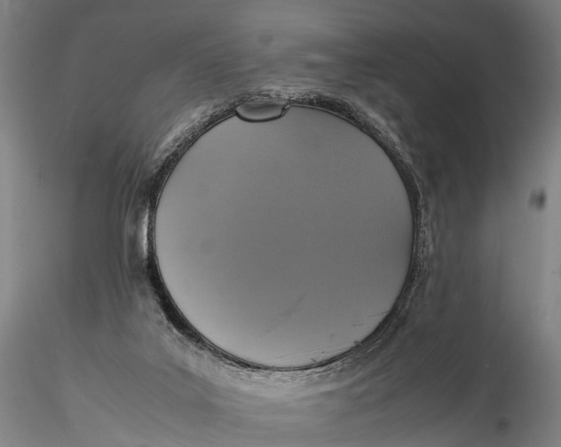 X0000115600019200912011537