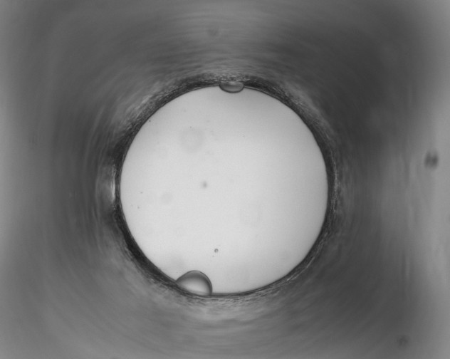 X0000115600021200912011537