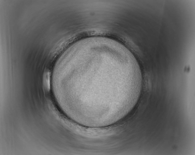 X0000115600022200912011537