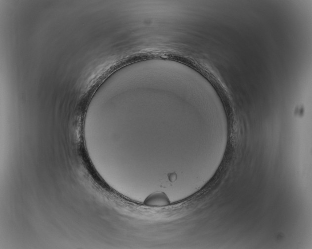 X0000115600023200912011537