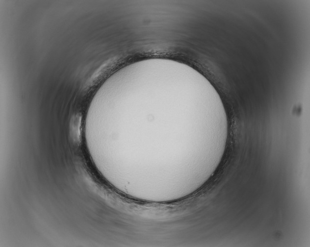 X0000115600024200912011537