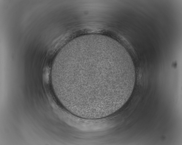 X0000115600026200912011537