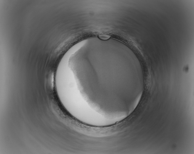 X0000115600027200912011537