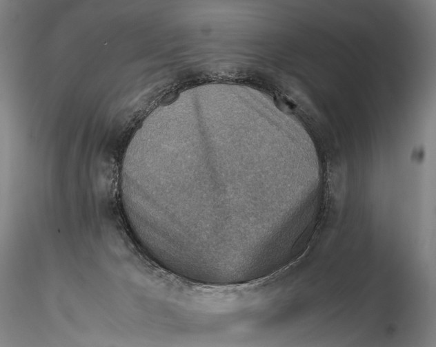 X0000115600029200912011537