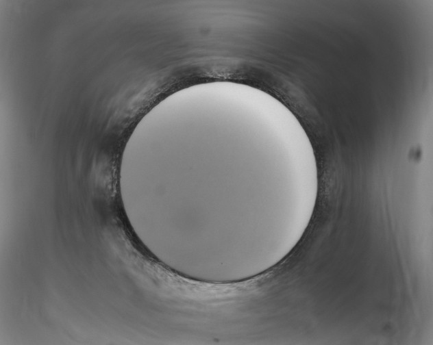 X0000115600031200912011537