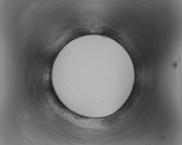 X0000115600032200912011537