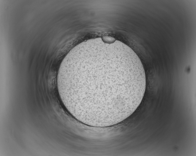 X0000115600034200912011537