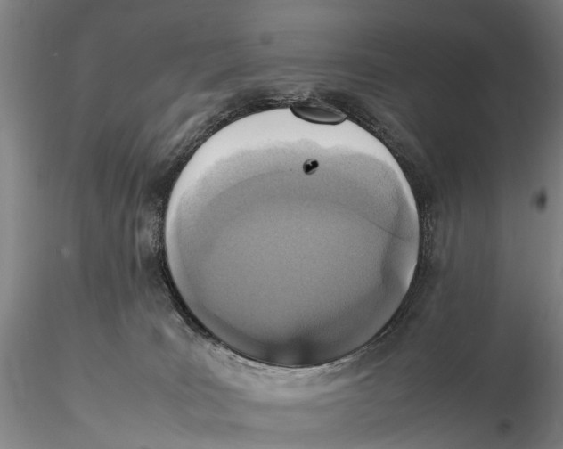 X0000115600035200912011537