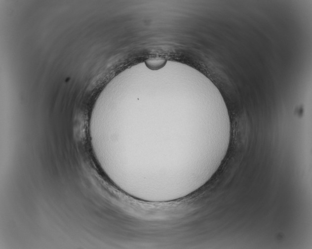 X0000115600038200912011537