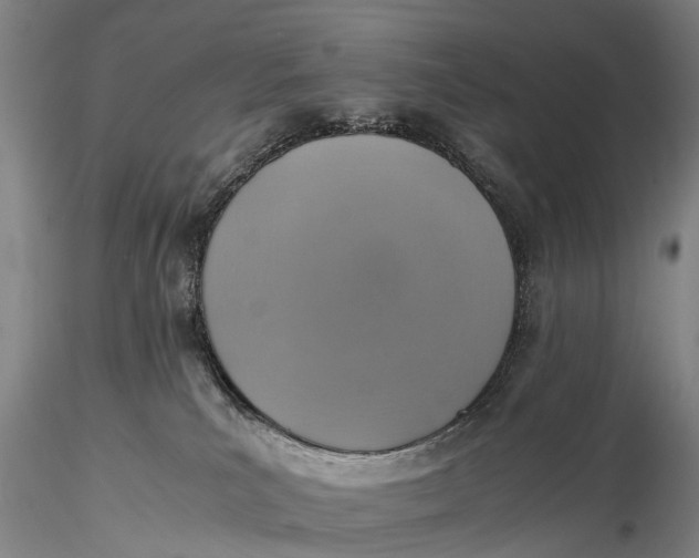 X0000115600039200912011537