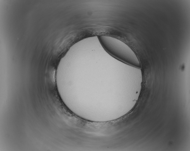 X0000115600041200912011537